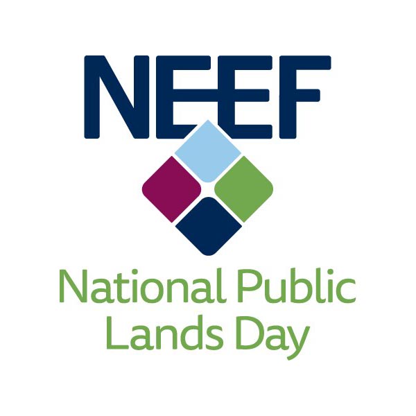 NPLD